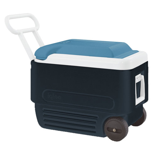 igloo quart maxcold cooler blue navy 40 qt